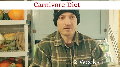 Carnivore Diet : 2 Week Update | Adventures In reality