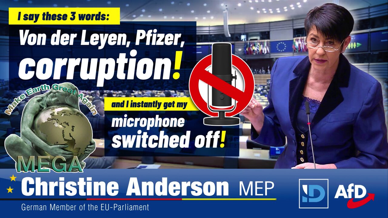 Corruption? Microphone switched off! - EU Parliament prevents investigation