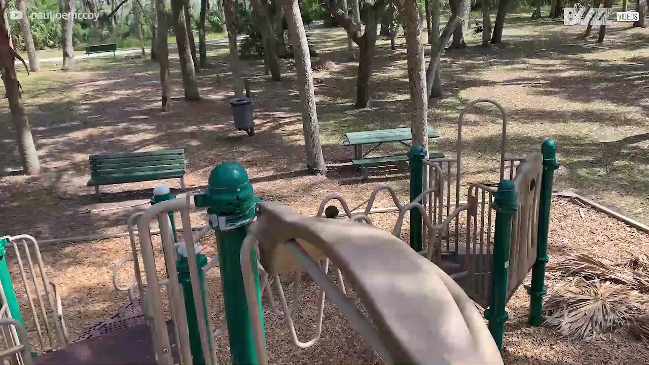 Menino azarado cai enquanto limpa parque infantil nos EUA