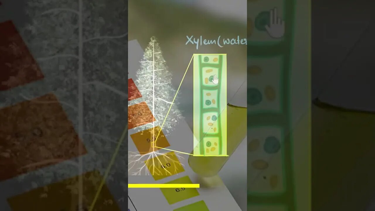 How much water can your pots actually take up?