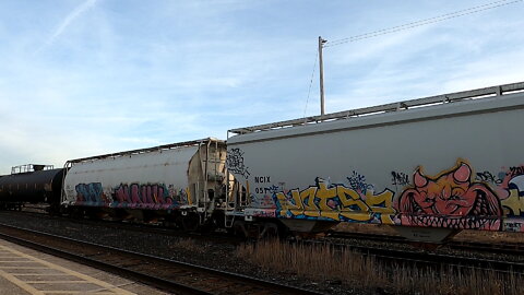 CN 2694 CN 2609 & CN 5742 Engines Manifest Train In Ontario