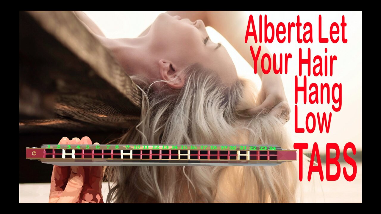 How to Play Alberta Let Your Hair Hang Low on a Tremolo Harmonica with 24 Holes