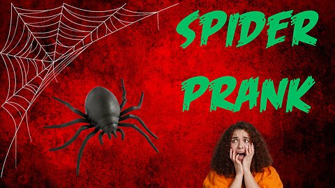 Spider Prank [Prank Shorts]