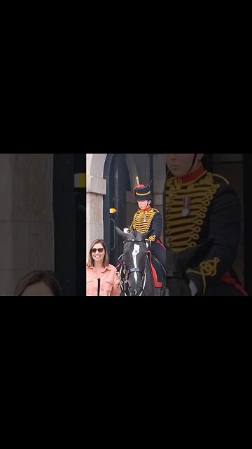 Kings guard shouts at tourist #horseguardsparade