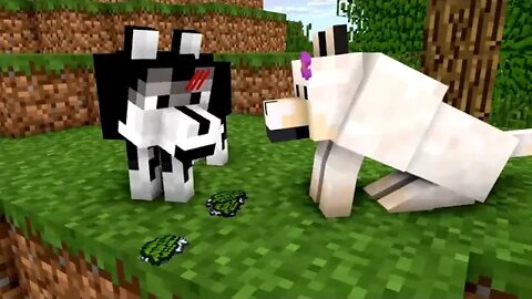 WOLF LIFE MOVIE Cubic Minecraft Animations All Episodes + BONUS