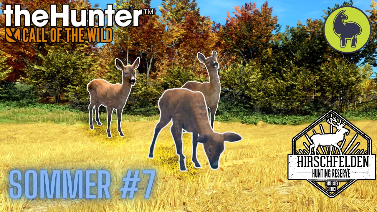 Sommer #7 Hirschfelden | theHunter: Call of the Wild (PS5 4K)