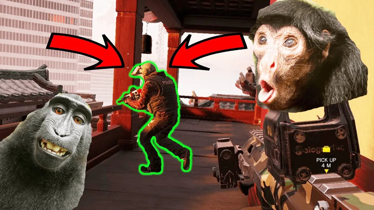 Monkey Plays Rainbow Six Siege - Rainbow Six Siege Gameplay