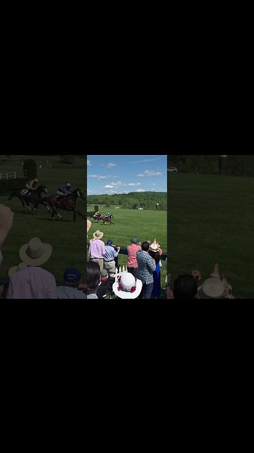 98th Annual Virginia Gold Cup 🐎 #Shorts