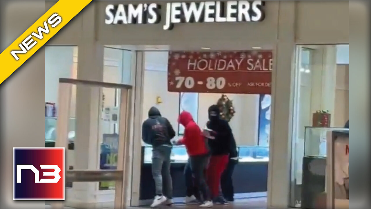 Organized Mob Robs Mall in Stunning Fashion