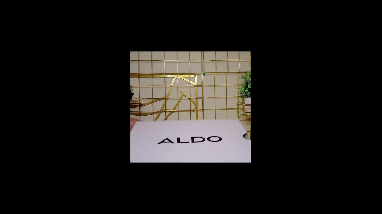 Aldo Shoes Stessy