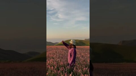 Summer Flower Aesthetic tiktok wertwelr