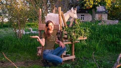 Building a Milking Stand for Our Goats