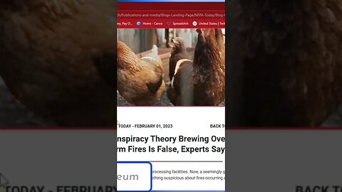 Chicken Farm Fires