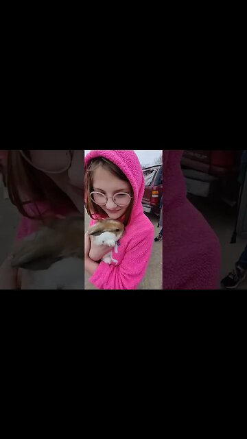 Meet Pippin! Makayla’s New Bunny! #babybunny #shorts #bunny