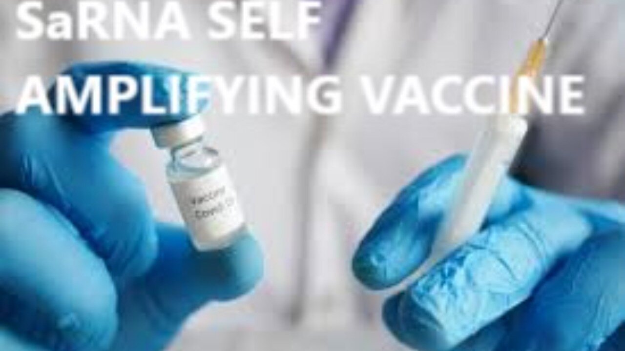 Vaccine SaRNA Self Amplifying mRNA Dangerous Discussion Sasha Latypova & Dr Jay Bhattacharya