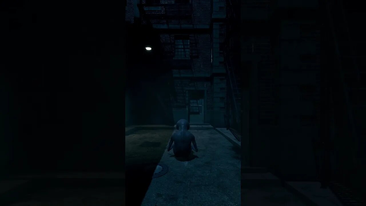 Something frightening in the alley...