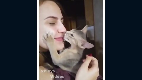 Pets of Tiktok - Try Not To Laugh