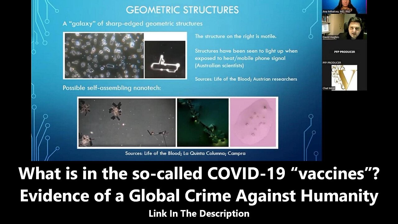 What is in the so-called COVID-19 vaccines Evidence of a Global Crime Against Humanity