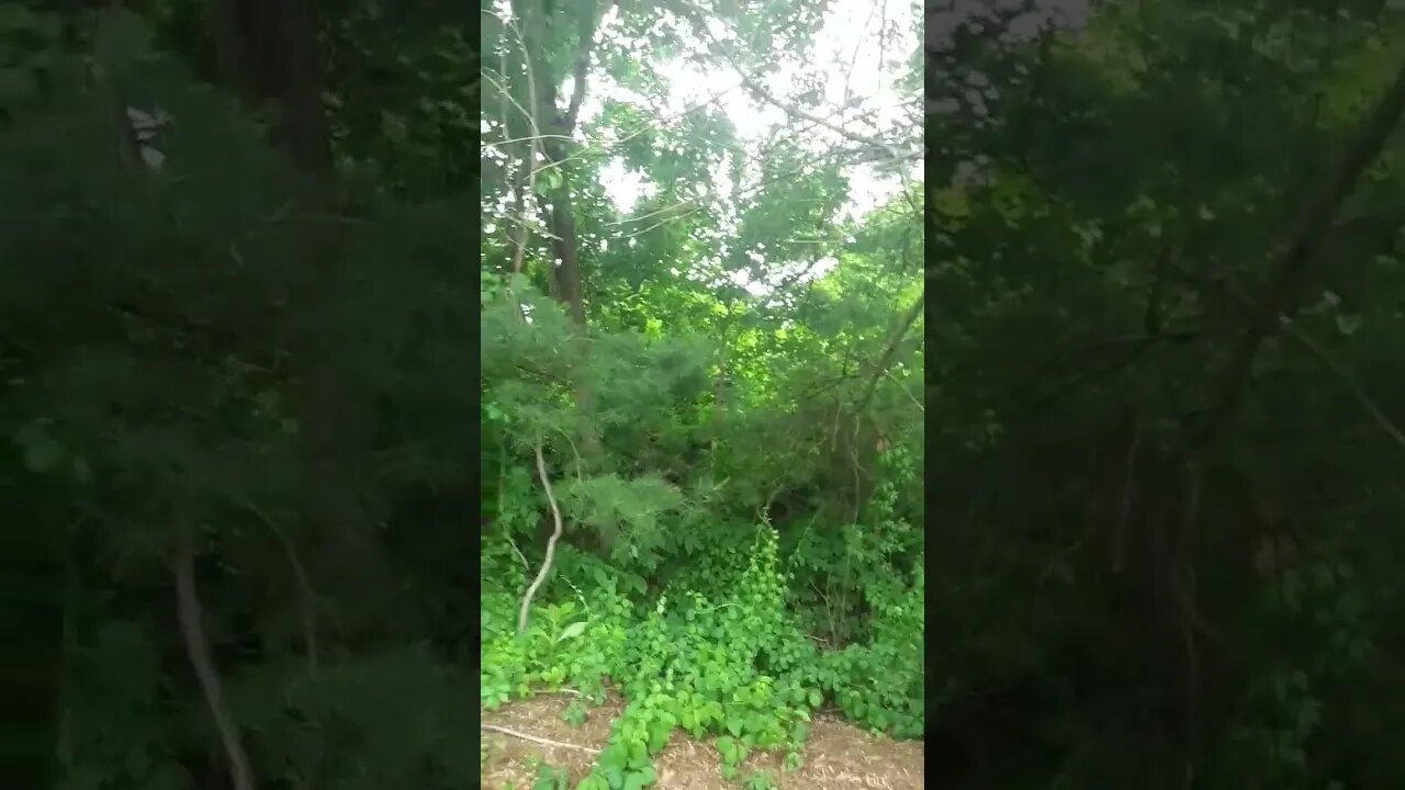 naTure and stuff get u some #stevecutlerlive