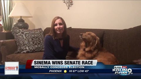 AP: Democrat Kyrsten Sinema wins Arizona US Senate seat