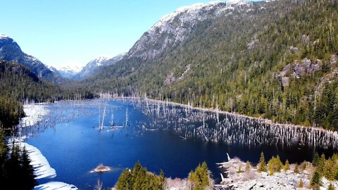 Hiking Alone to Spire Lake | When a Mountain Breaks off and Dams a River