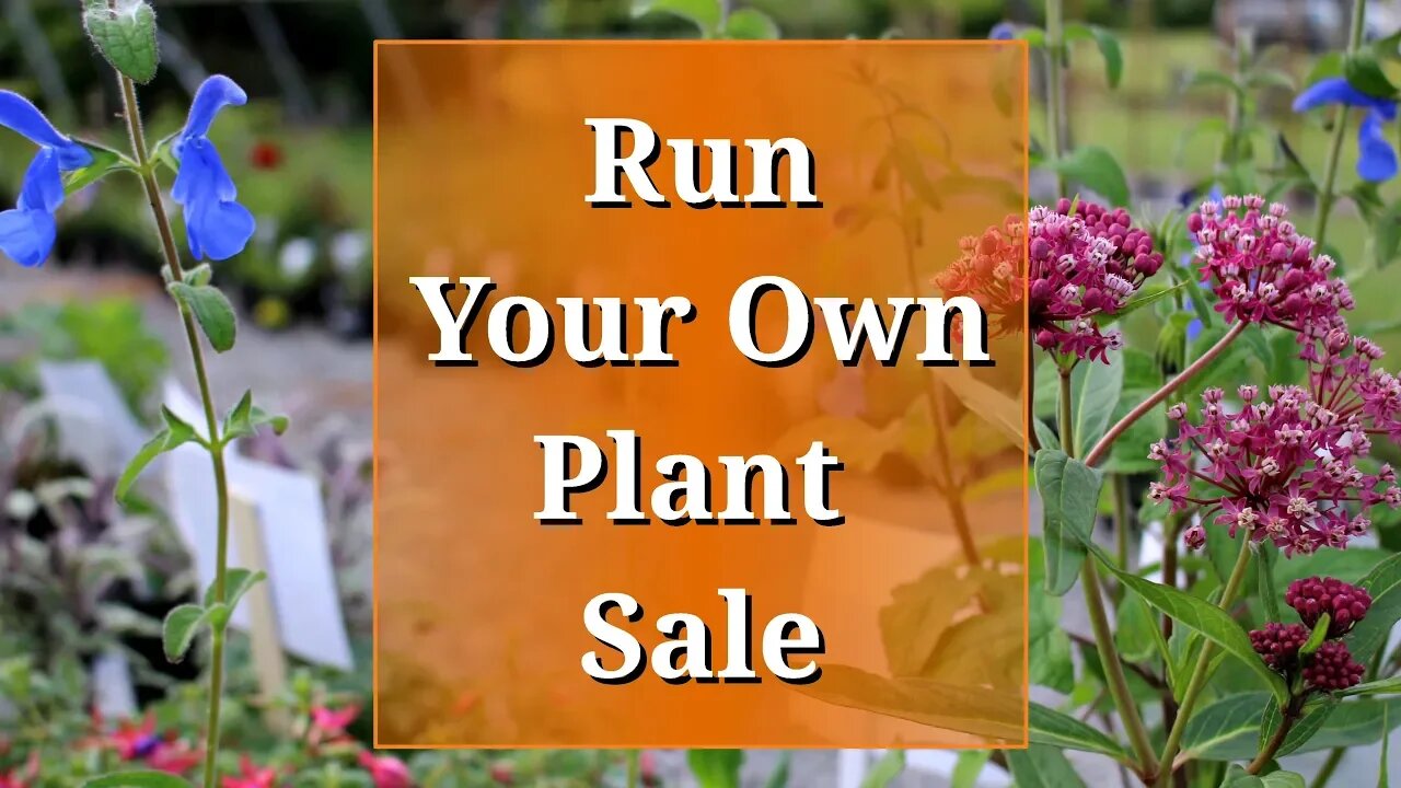 Run Your Own Plant Sale