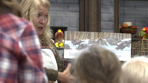 The Turkey Lady Teaches Kids About Turkeys for Thanksgiving