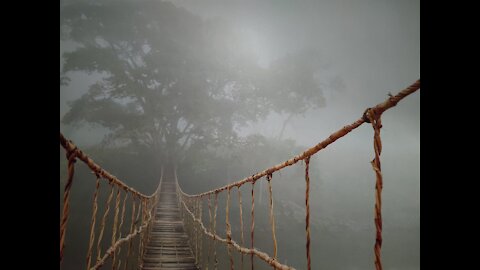 Welcome to the Truman Show 🎪