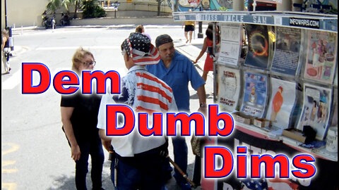 Dem Dumb Dims