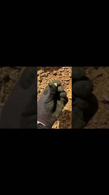 Shoot, Retrieve, Melt, Refine, Resize, Reload, Repeat