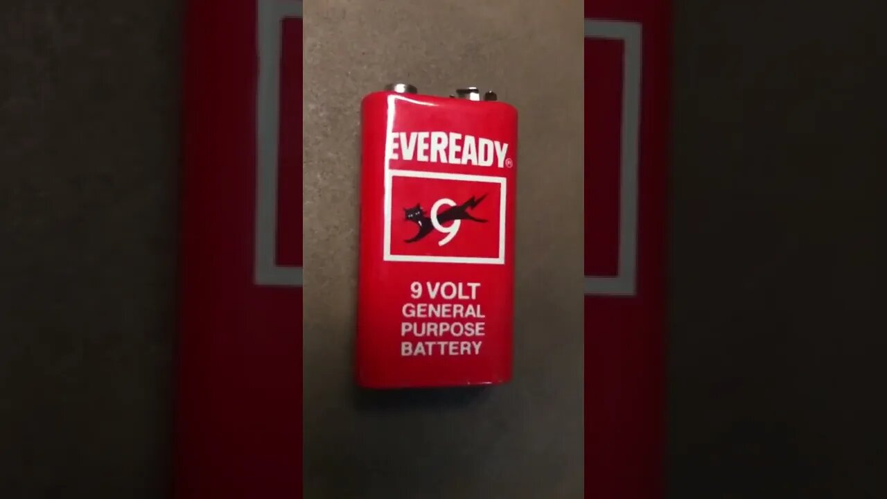 Puss Everyday