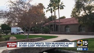 Teen accused of murdering aunt being tried as an adult