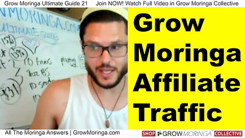 Moringa Money Revenue Streams Affiliate Traffic Use Custom Link or Coupon Code Make Passive Income