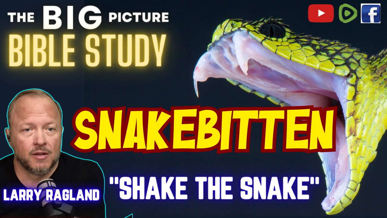 Bible Study: Snakebitten - "Shake the Snake"