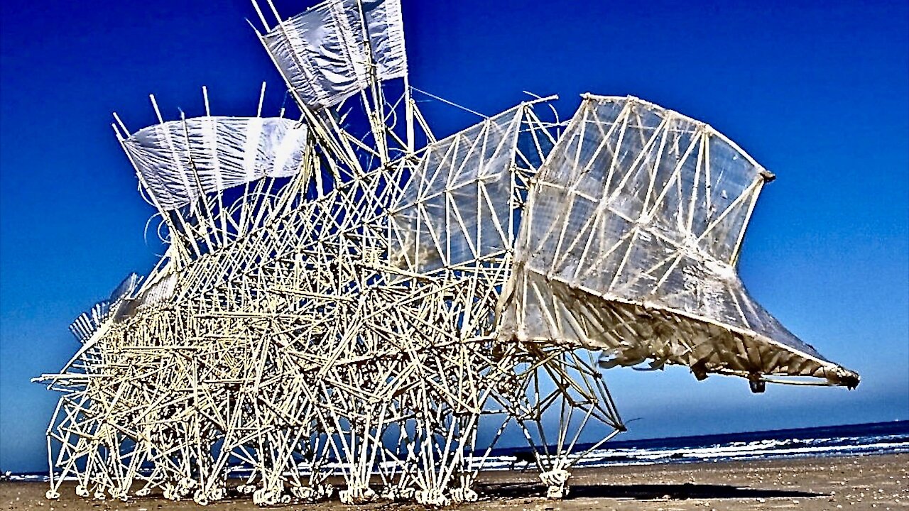 Living Sculptures Move Without Electricity - Theo Jansen's Strandbeests