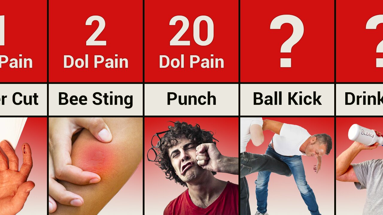 The 80 Most Painful Experiences