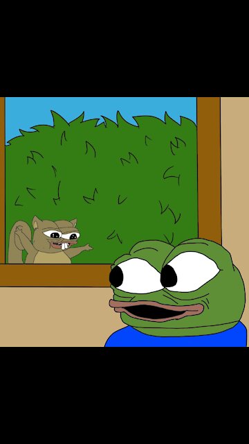 Squirrel getting seeds