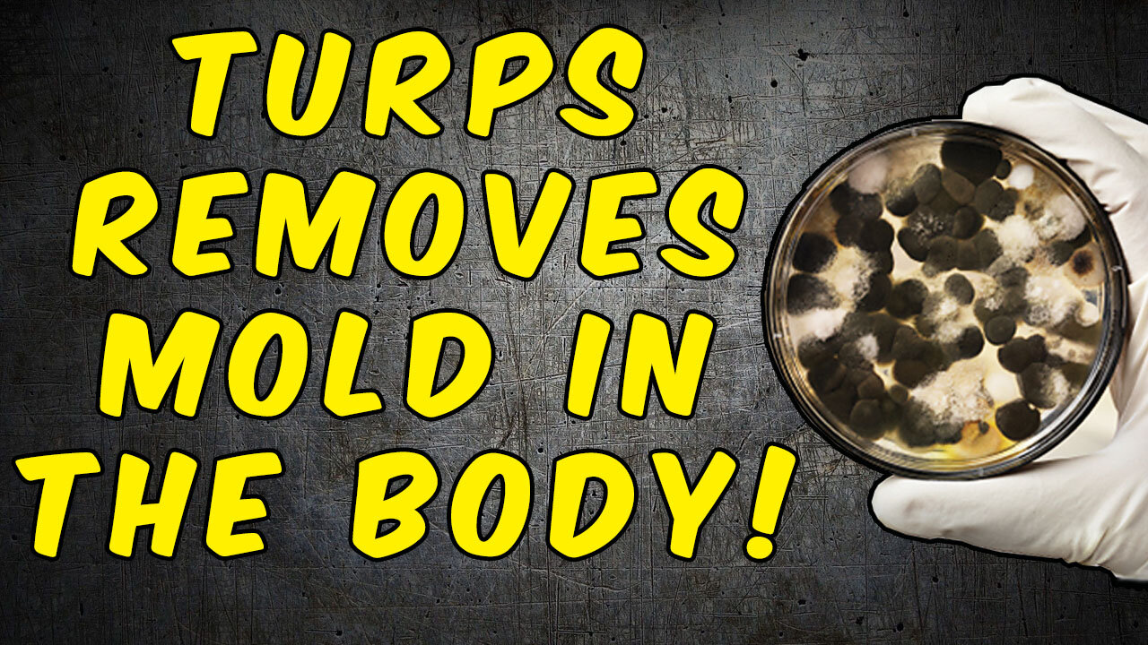 How And Why Turpentine Removes Mold From The Body