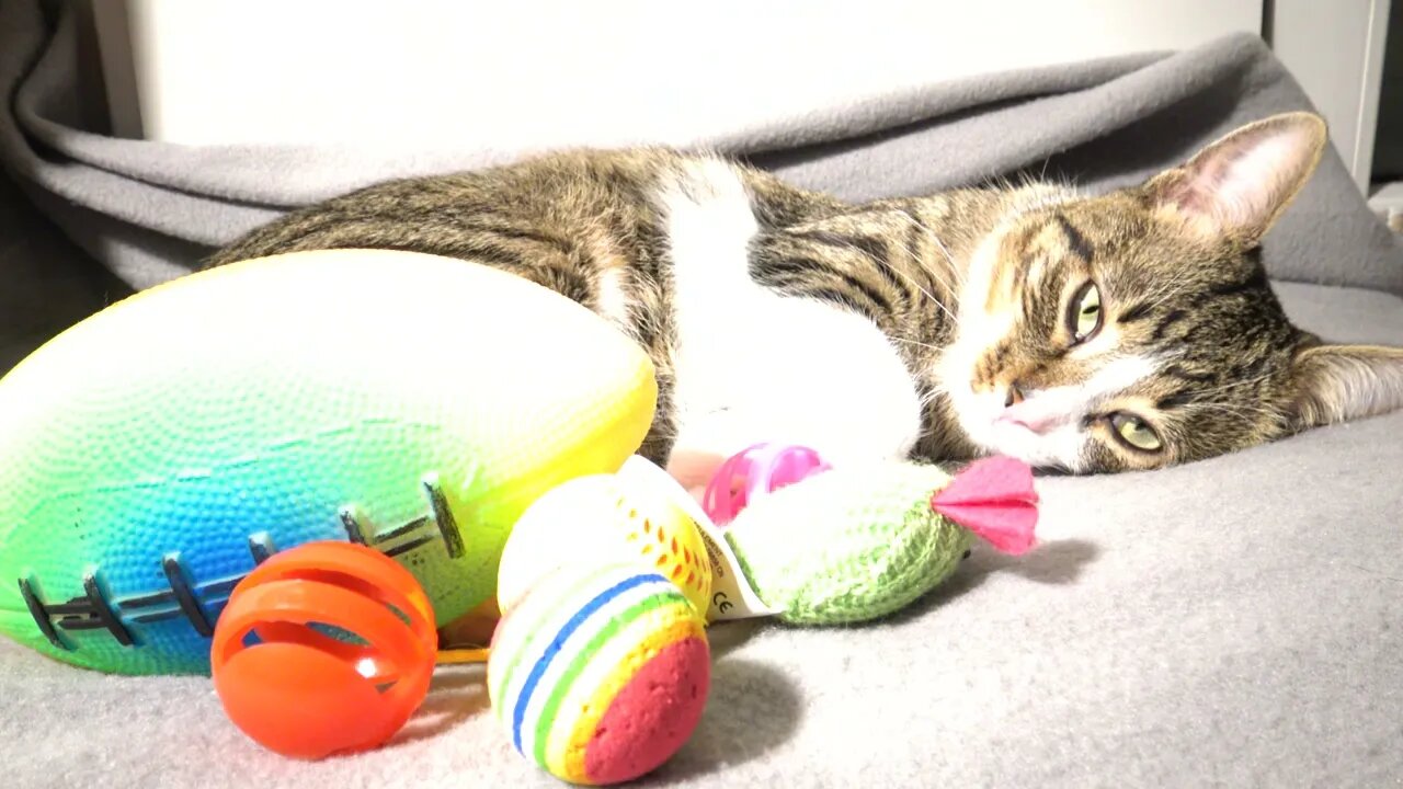 I'll Keep an Eye on My Toys