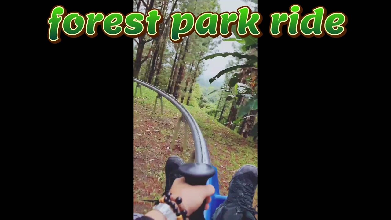 amazing forest parkride