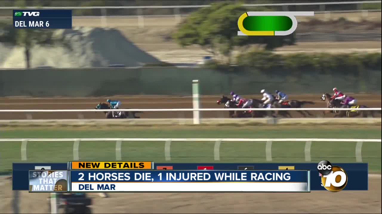 Two horses dead, 1 injured at Del Mar