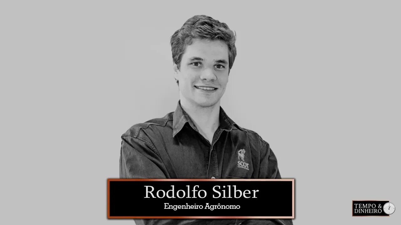 Boi gordo deve ter reação de preços em dezembro