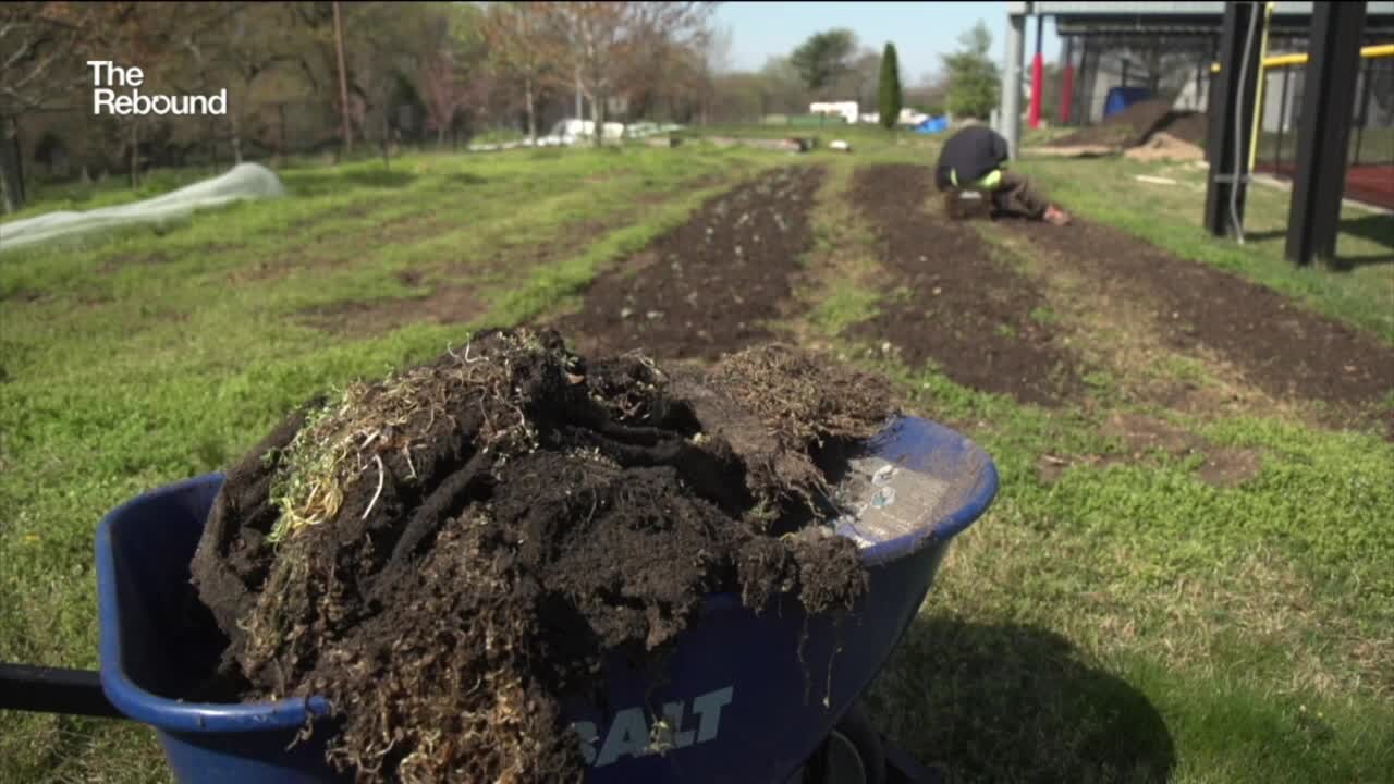 The Rebound: Urban farming