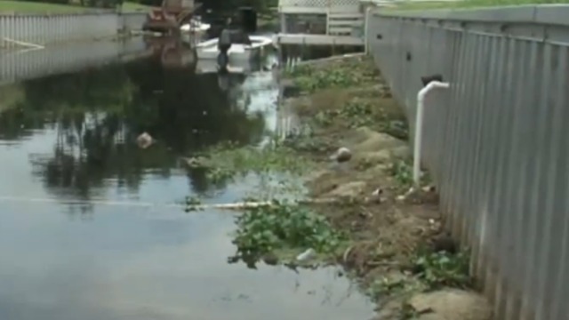 Debris gathering in Boynton Beach low canals