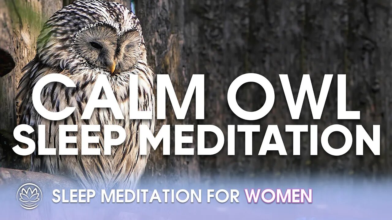 Calm Wise Owl // Sleep Meditation for Women