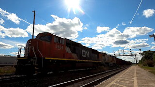 CN 5664 & UP 6229 Engines Manifest Train Eastbound On Strathroy Sub TRACK SIDE