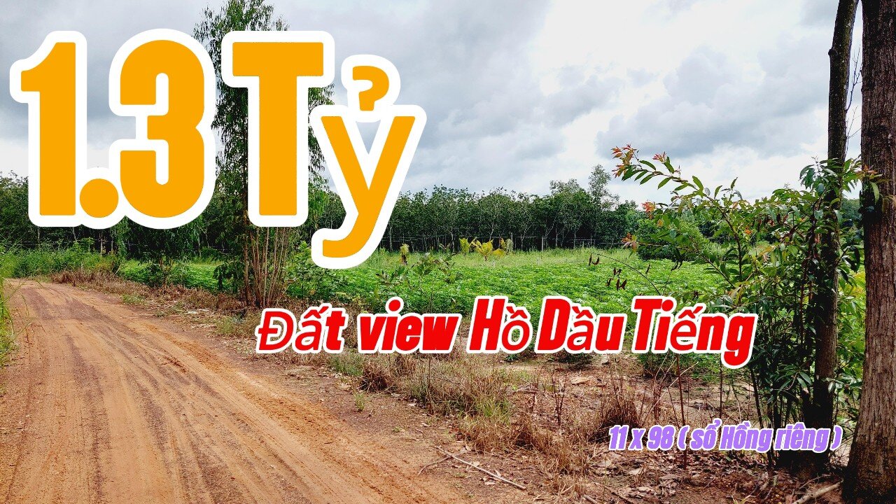 Đất Dầu Tiếng | bán gấp lô đất 11 x 98 ( hơn 1078 M2) view Hồ giá rẽ#554