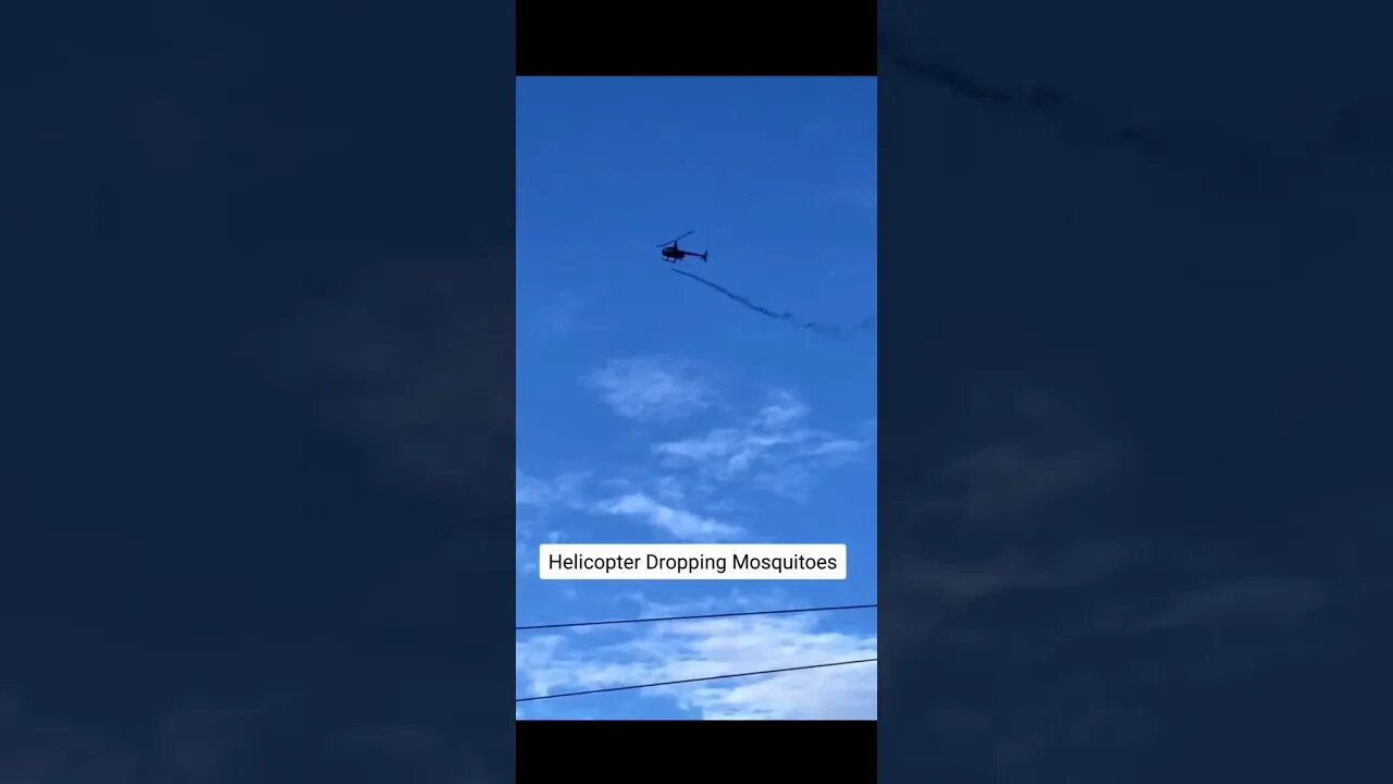 GILL BATES OF HELL RELEASING GMO MOSKITOS ON PEOPLE‼️⚠️