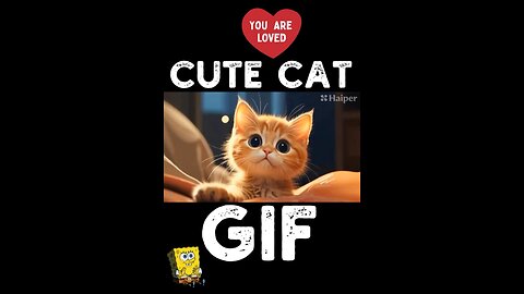 Cute Cat Gif