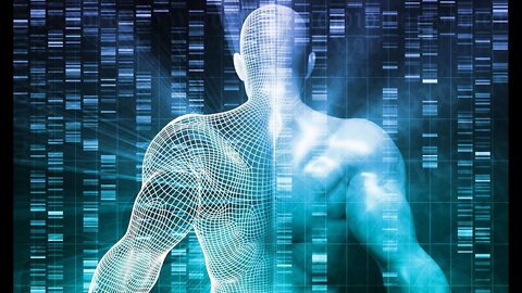 Internet of bodies